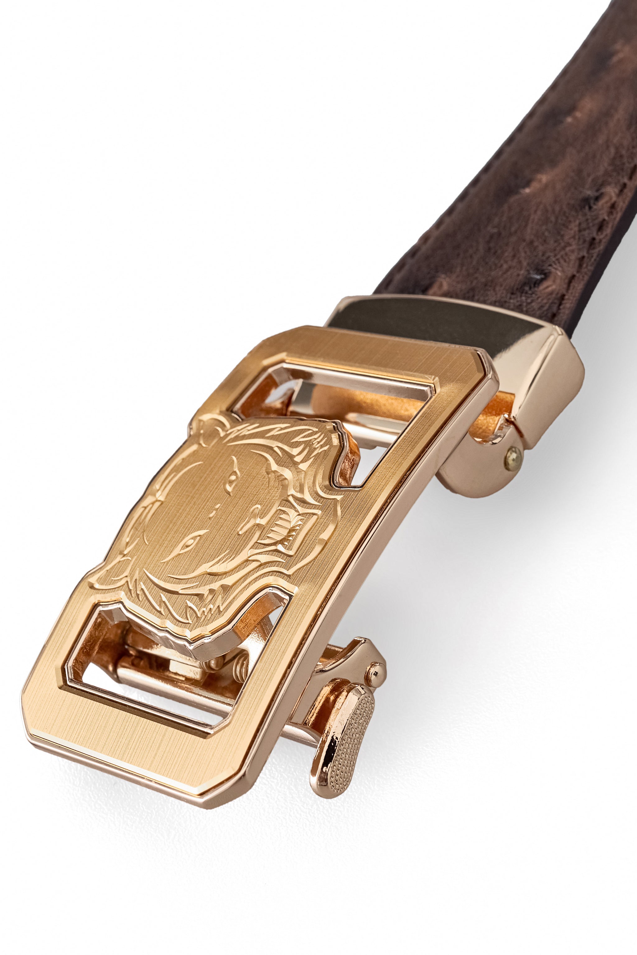 Ostrich-Emb. Leather Lion Auto BKL Belt – Gold Ed. GOLD/COFFEE