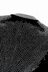 Regal Cascades Embellished Velvet Blazer BLACK/SILVER