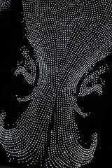 Regal Cascades Embellished Velvet Blazer BLACK/SILVER