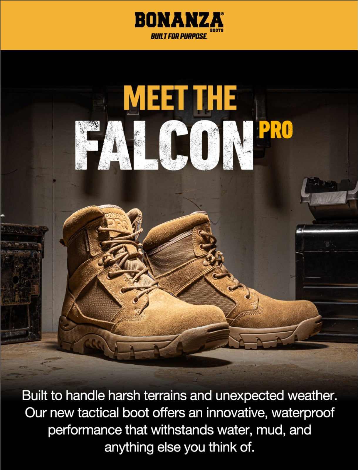 BON0600660FALCON | BA645